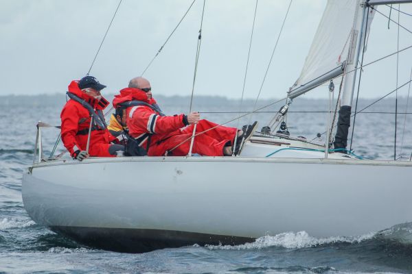 Champ automne 3 – photo 36