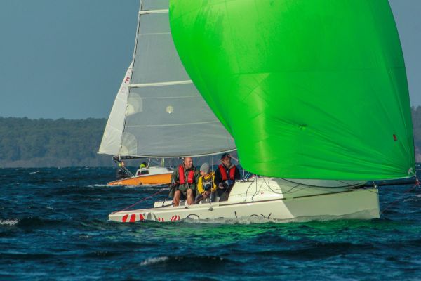 Champ automne 3 – photo 26