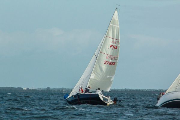 Champ automne 3 – photo 23