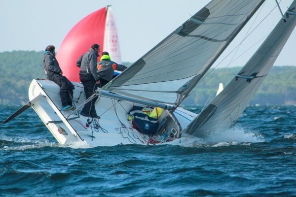 Champ automne 3 – photo 25
