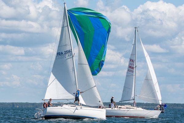 La meltis – photo 43