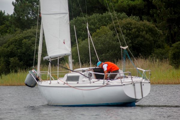La solitaire – photo 11