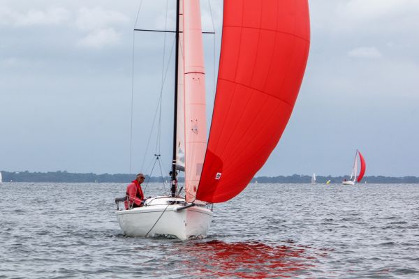 La solitaire – photo 45