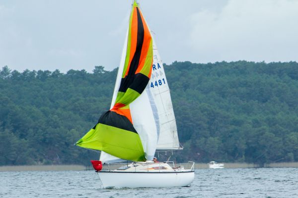 La solitaire – photo 35