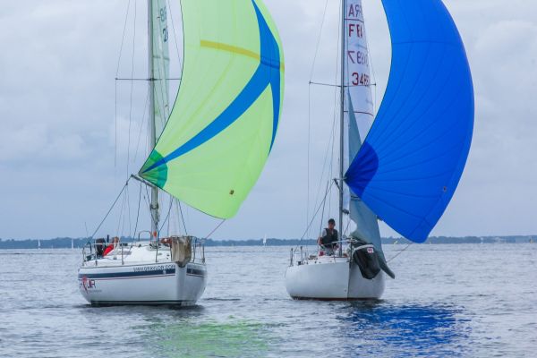 La solitaire – photo 52