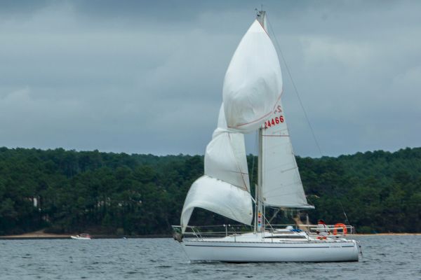La solitaire – photo 38