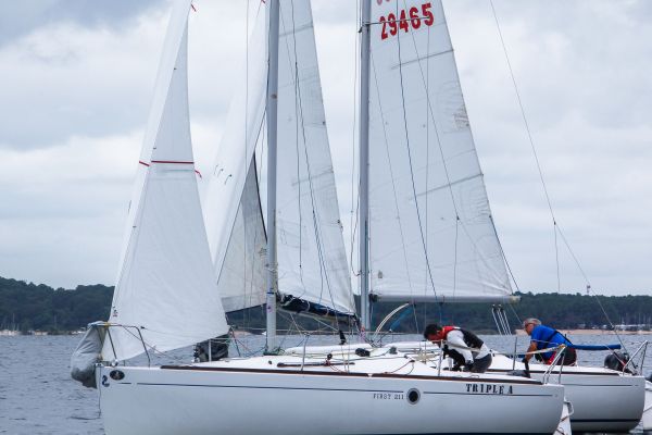 La solitaire – photo 43