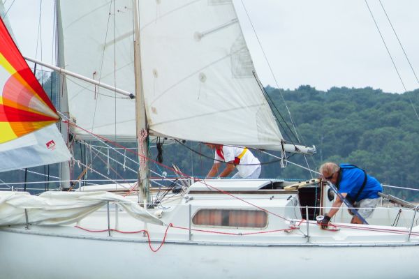 La solitaire – photo 40