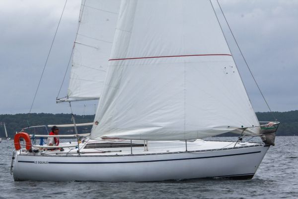 La solitaire – photo 26