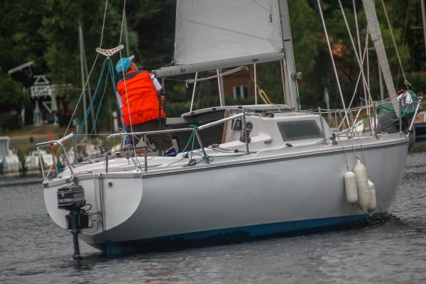 La solitaire – photo 6