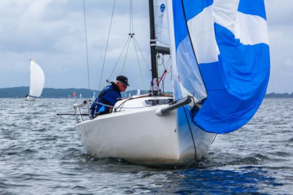 La solitaire – photo 46