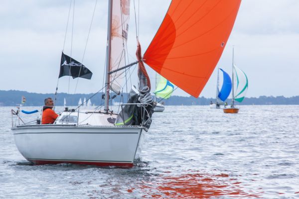 La solitaire – photo 50