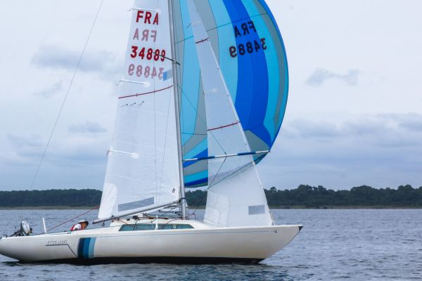 La solitaire – photo 49