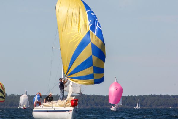 Trophée ducom pierre & fils – photo 74