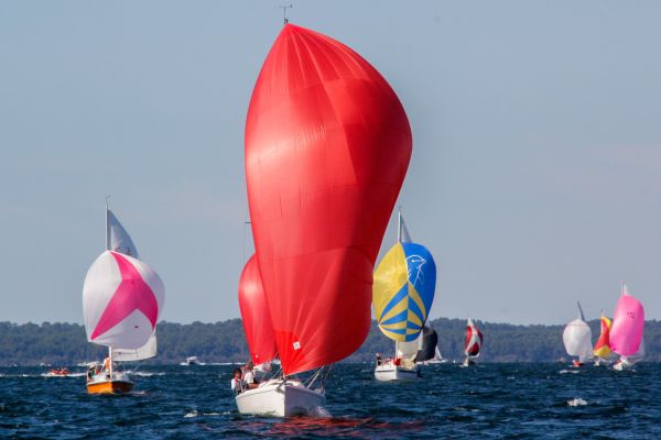 Trophée ducom pierre & fils – photo 96