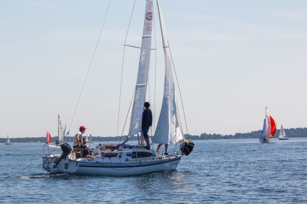Regate ace & guy hoquet – photo 71