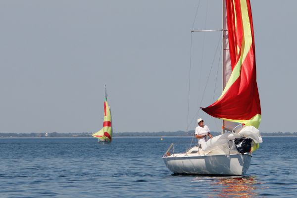 Regate ace & guy hoquet – photo 98