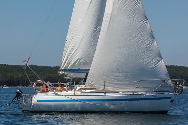 Regate ace & guy hoquet – photo 38