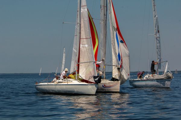 Regate ace & guy hoquet – photo 102