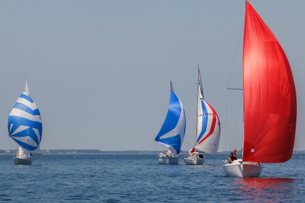 Regate ace & guy hoquet – photo 96