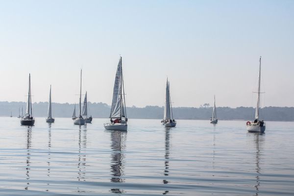 Championnat d'automne 3 – photo 23