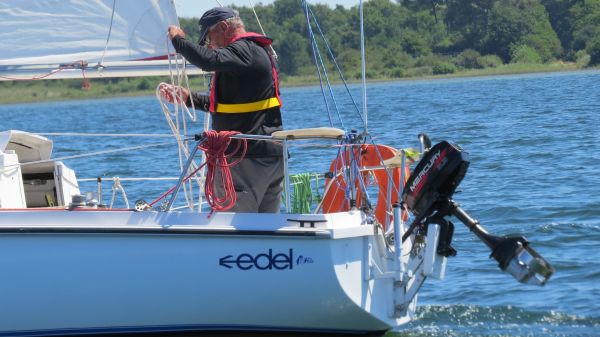 La solitaire – photo 59