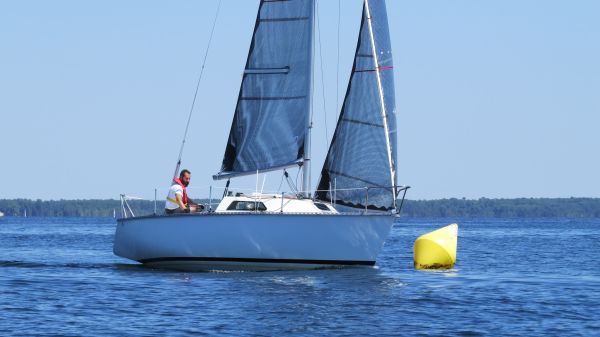 La solitaire – photo 89