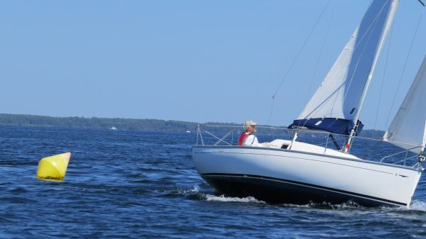 La solitaire – photo 121