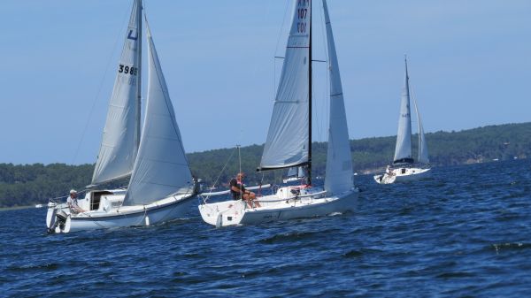 La solitaire – photo 53