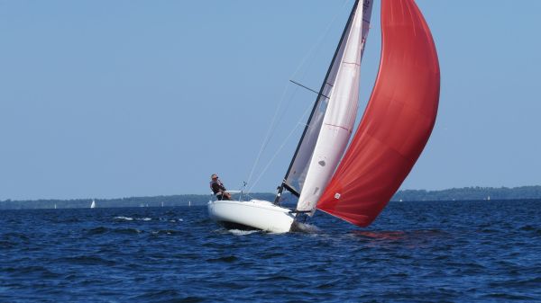 La solitaire – photo 127