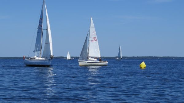 La solitaire – photo 110