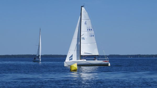La solitaire – photo 83