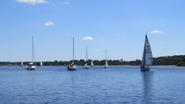La solitaire – photo 42