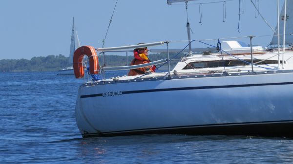 La solitaire – photo 112