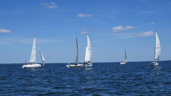 La solitaire – photo 61