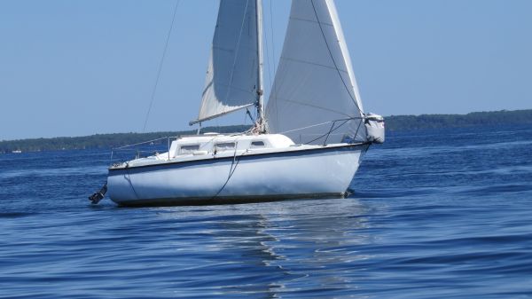 La solitaire – photo 117