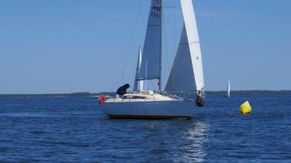 La solitaire – photo 102