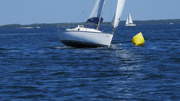 La solitaire – photo 120