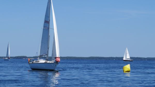 La solitaire – photo 114