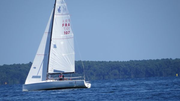 La solitaire – photo 76