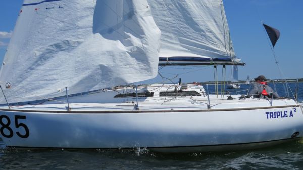 La solitaire – photo 72