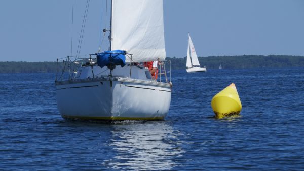 La solitaire – photo 109