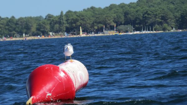 La solitaire – photo 123