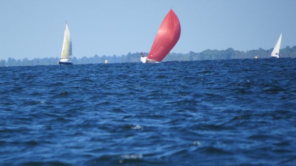 La solitaire – photo 125