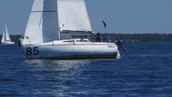 La solitaire – photo 104