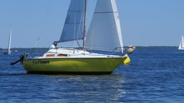La solitaire – photo 98
