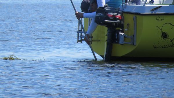 La solitaire – photo 44