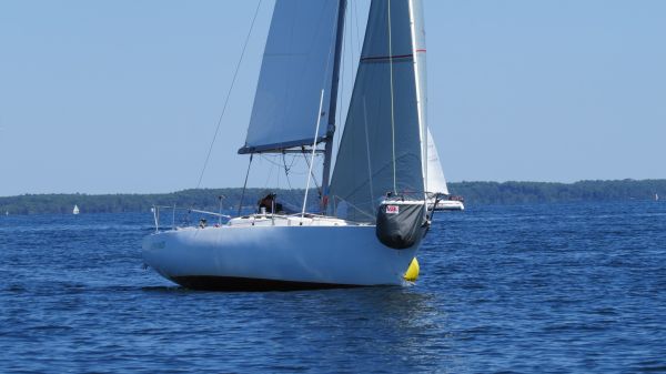 La solitaire – photo 100