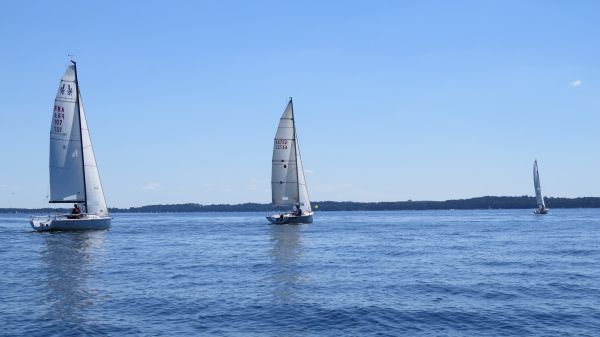La solitaire – photo 88