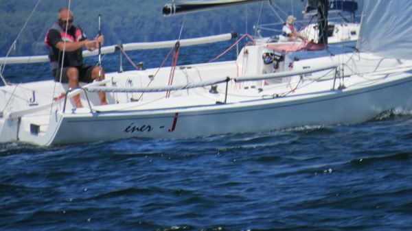 La solitaire – photo 52